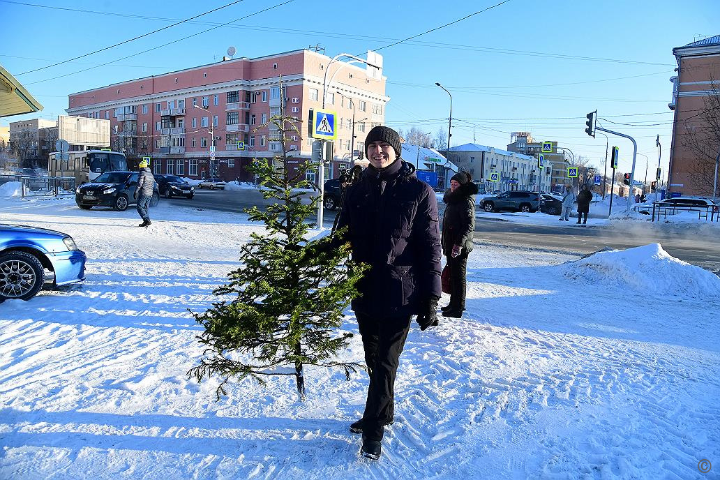 Хвойный барнаул. Новогодняя елка Мурмаши. Мороз Барнаул. Елка в Барнауле 2012 год. Январский Мороз фото.